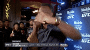 Sport Mma GIF by UFC