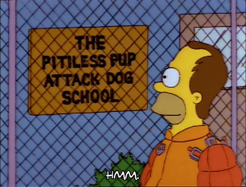 Season 3 Wire Fence GIF by The Simpsons