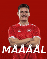 Football Scoring GIF by DBU