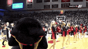 cincinnati bearcats superman GIF by University of Cincinnati Athletics