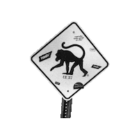 frothymonkey nashville music city nashville coffee frothy monkey Sticker