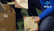 Art Living GIF by MolaTV