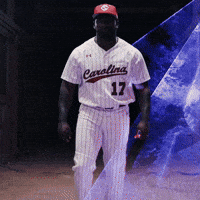 Home Run Celebration GIF by Gamecock Athletics