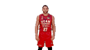 Liga Endesa Yes Sticker by ACB