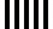 Happy Dance GIF by SK Sturm Graz