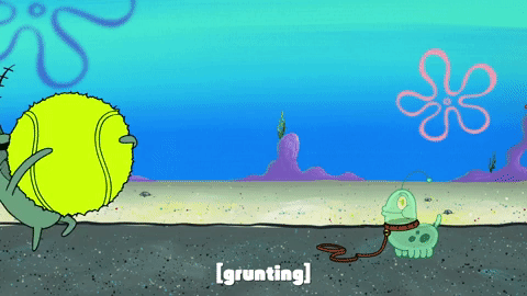 season 9 safe deposit krabs GIF by SpongeBob SquarePants