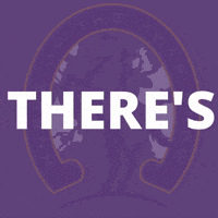 hoys_official horse horses equestrian equine GIF
