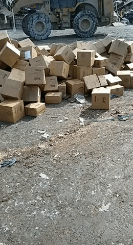 albertonishiyamavillasante giphygifmaker GIF