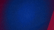 Germany Football GIF by Holstein Kiel