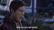 season 3 episode 18 GIF by Workaholics