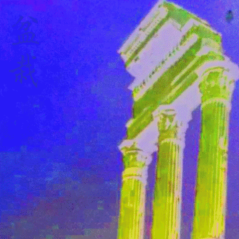 Bonsai GIF