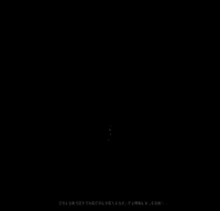 Fireworks GIF