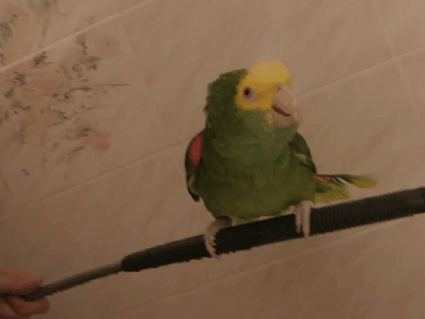 punch fighting GIF by Barstool Sports