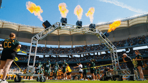 Baylor Bears Sic Em GIF by Baylor Athletics