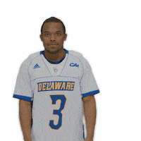shut down ncaa sports Sticker by Delaware Blue Hens