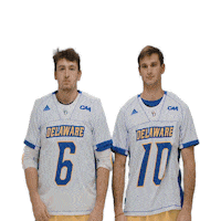 ncaa sports sport Sticker by Delaware Blue Hens