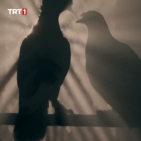 Hello Darling Love GIF by TRT