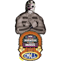 Lucha Libre Wrestling Sticker by CMLL