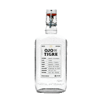 Ojodetigremezcal dance mexico musica fiesta Sticker