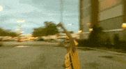 GIF by SideOneDummy Records