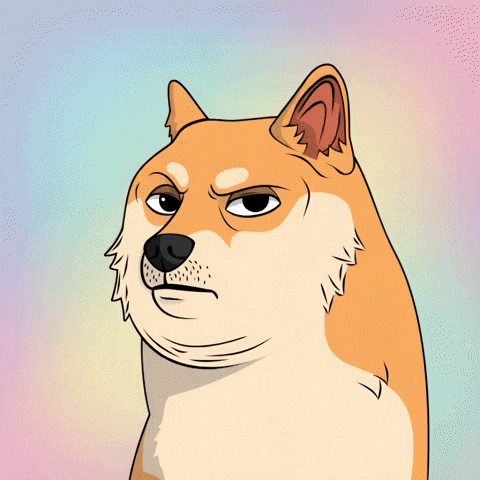 Unimpressed Shiba Inu GIF by Doge Pound