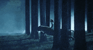 Tiger Forest GIF by VVS FILMS