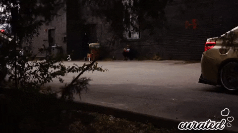 Show Stance GIF by Curated Stance!