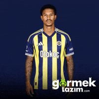 Fenerbahce GIF by Görmek Lazım
