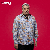 Uh Huh Yes GIF by SWR3
