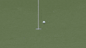 Hole In One Golf GIF by LPGA