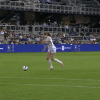 Goal Louisville GIF by National Women's Soccer League