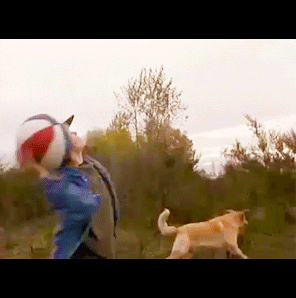 Air Bud GIF by jOnNy'S wOrLd