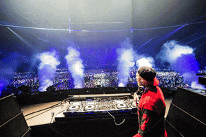 tiesto live GIF by Tiësto