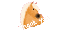 Horse Thank You Sticker by Lietjesmarket