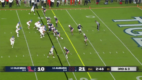 SchaufDS giphygifmaker GIF