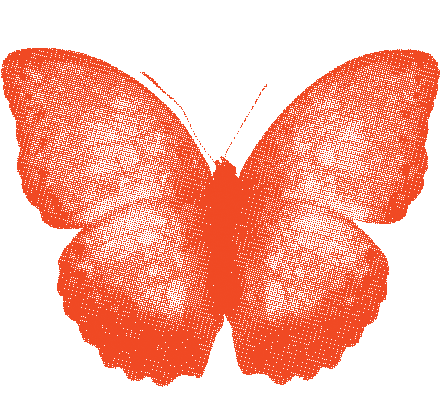 Magic Orange Sticker