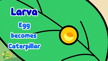 Egg Caterpillar GIF