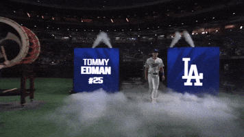 Los Angeles Dodgers Sport GIF by MLB