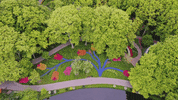 Keukenhof spring holland tulips tulpen GIF