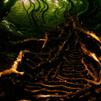 Bg Network GIF by Aleksey Efremov