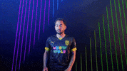 Meow Wolf Home Kit GIF by New Mexico United