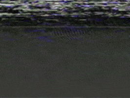 retro vintage GIF