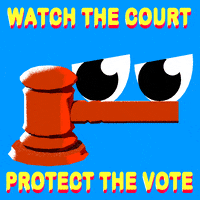 Right To Vote Election 2020 GIF by Creative Courage