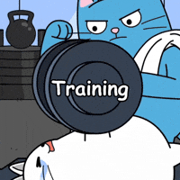 White Cat Workout GIF