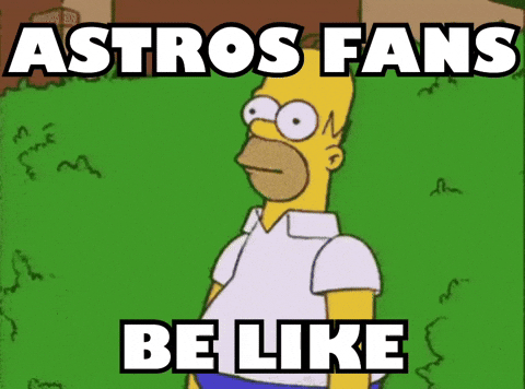 Be Like Houston Baseball GIF by Respective