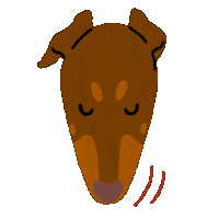 Dog No Sticker