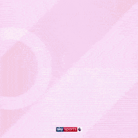 Football Soccer GIF by skysports