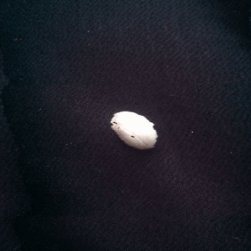 art glitch GIF by Liaizon Wakest