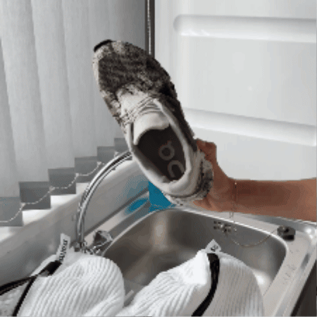 GIF Animado