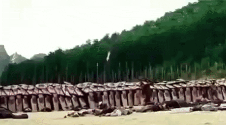 albehery giphygifmaker single GIF